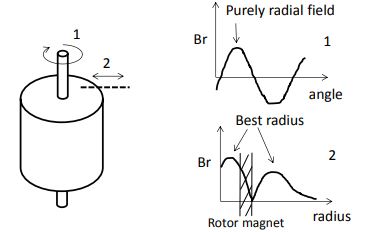 Figure 20: Sketch of the Radial Magnetic Field (Br) Produced by a Rotor 